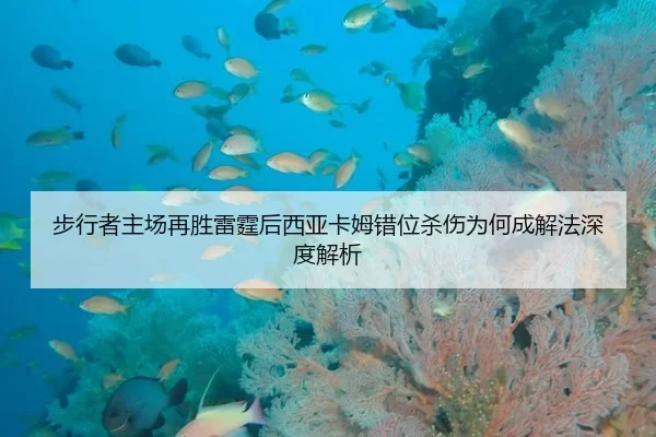 步行者主场再胜雷霆后西亚卡姆错位杀伤为何成解法深度解析